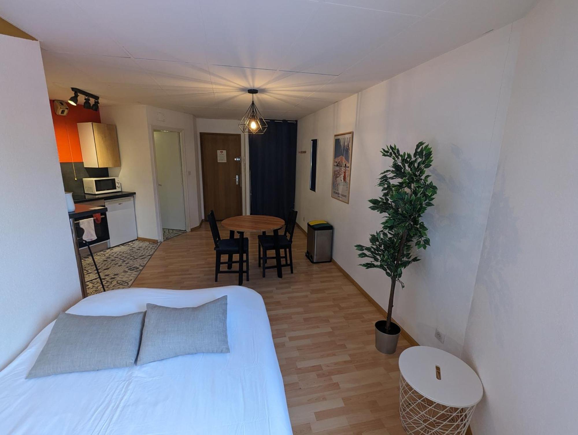Ton Petit Studio - Le 62 - Coeur De Ville Mülhausen Exterior foto