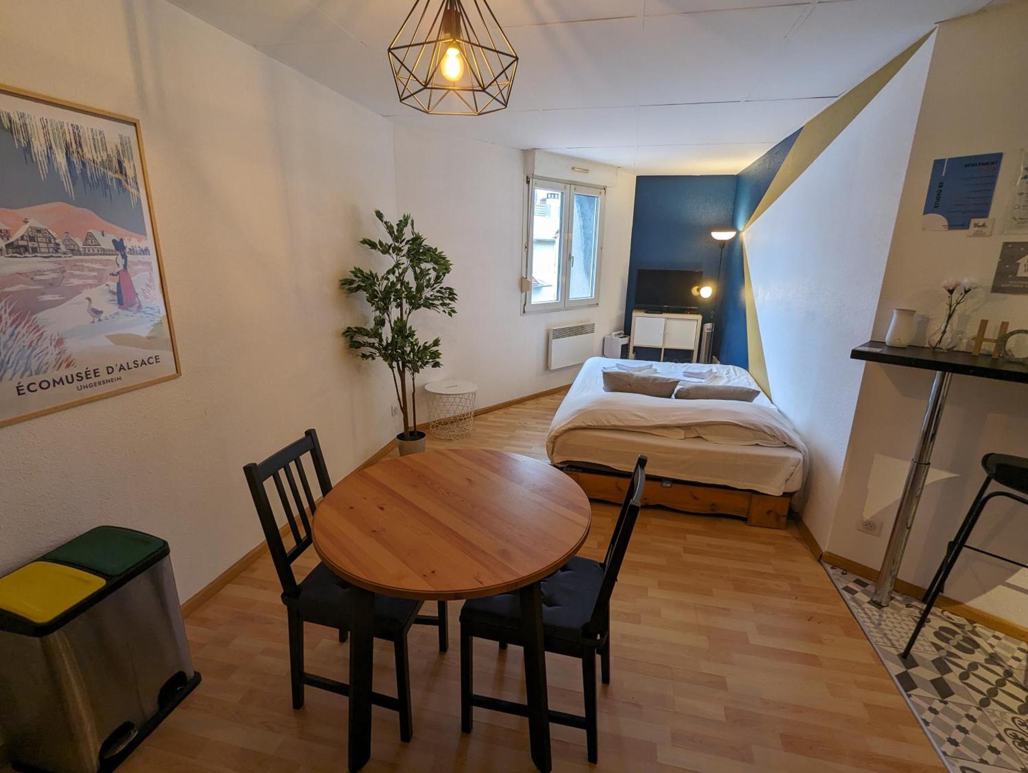 Ton Petit Studio - Le 62 - Coeur De Ville Mülhausen Exterior foto